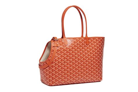 goyard doh|the goyard gazette.